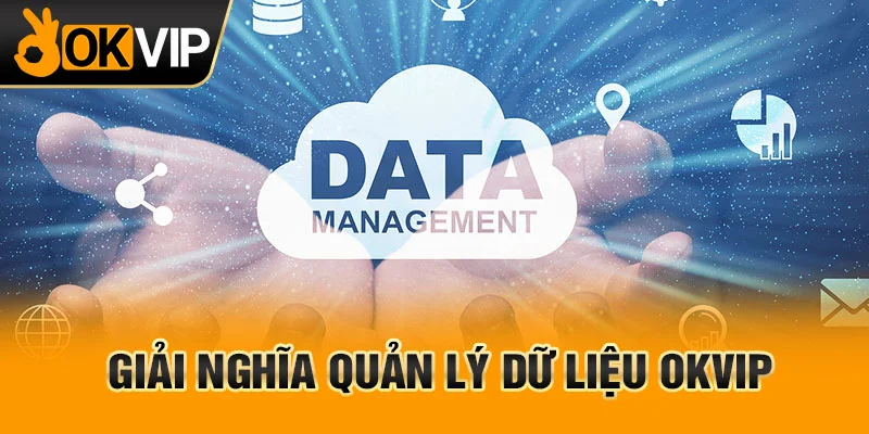 Vài nét về dịch vụ quản lý dữ liệu