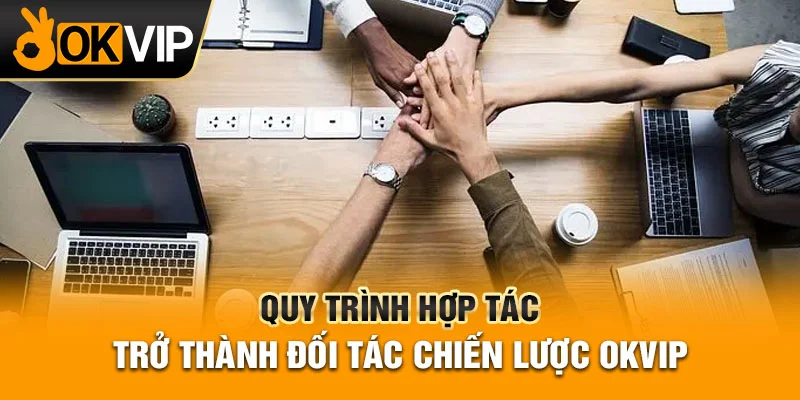 Quy trình để hợp tác cùng Liên minh OKVIP