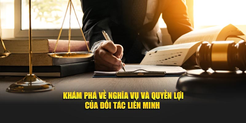 Khám phá về nghĩa vụ và quyền lợi của đối tác liên minh